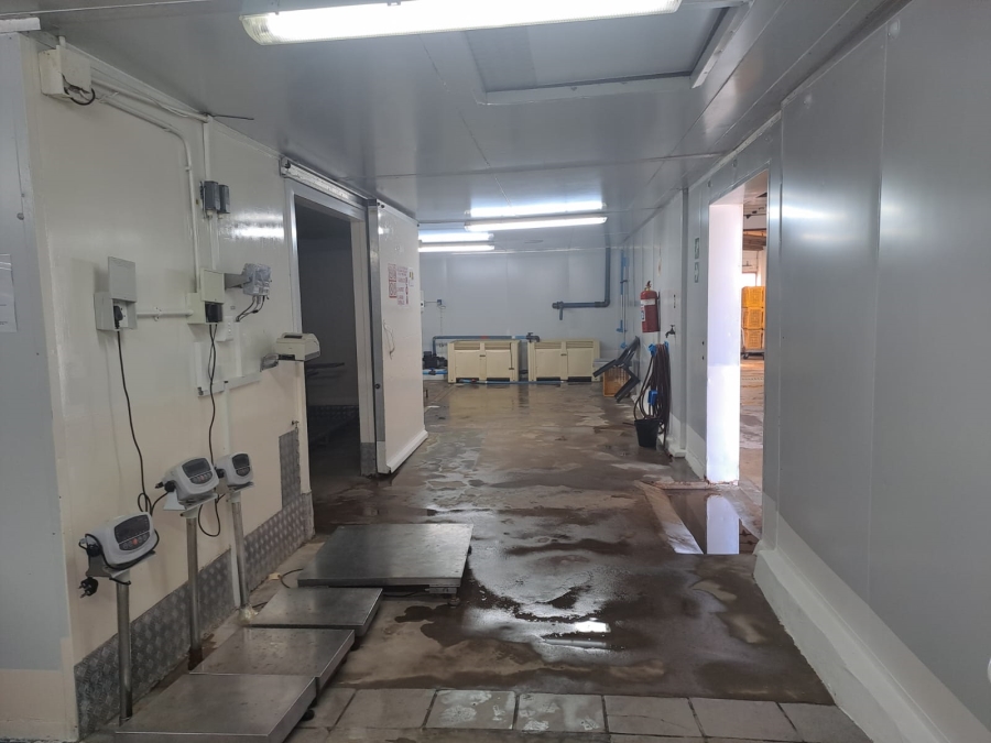 Commercial Property for Sale in Kleinmond Western Cape